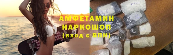 соль ск Новозыбков