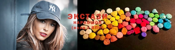 соль ск Новозыбков