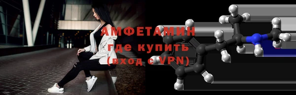 соль ск Новозыбков