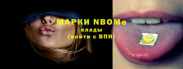 бошки Няндома