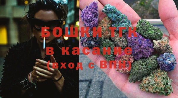 соль ск Новозыбков