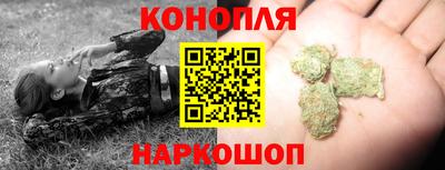 крисы Гусев