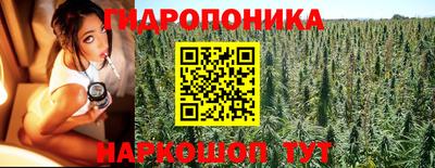 a pvp Гусиноозёрск