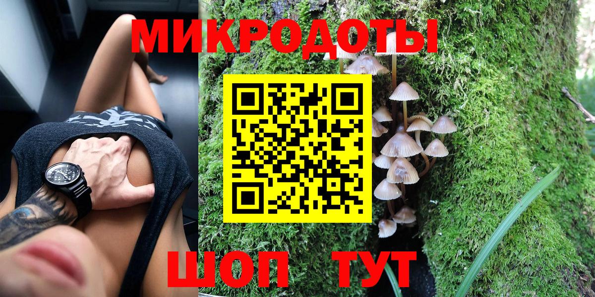 Псилоцибиновые грибы мицелий Знаменск