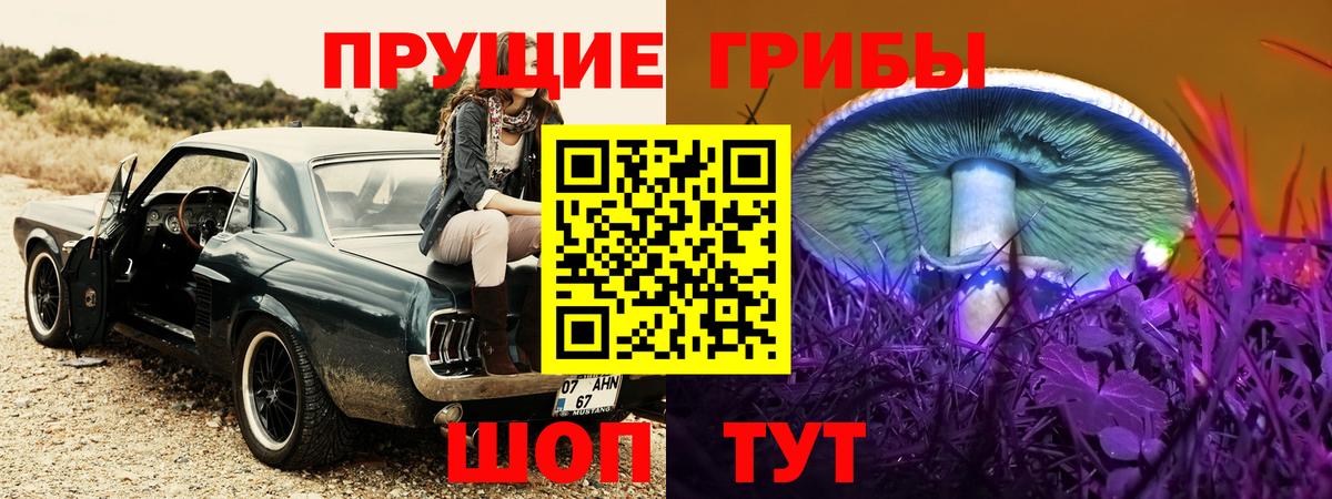 Знаменск  цена наркотик  Вход с VPN  Псилоцибиновые грибы ЛСД 
