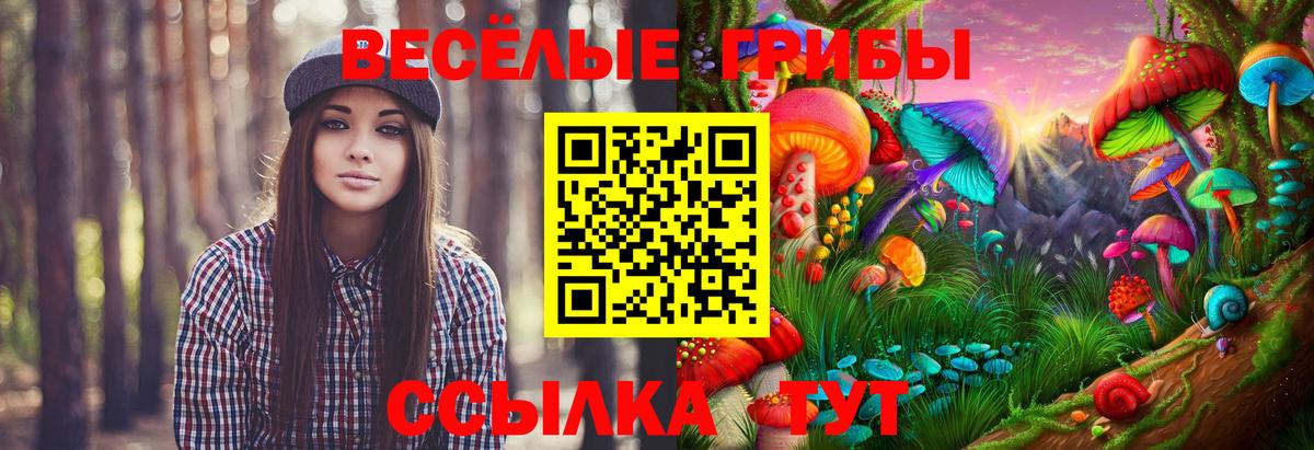 Псилоцибиновые грибы ЛСД Знаменск